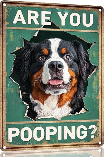 Miniatura 17 de Letrero de hojalata divertido con texto en inglés "Saint Bernard Dog Are You Pooping" para decoración de pared de baño, inodoro, 12 x 8 pulgadas