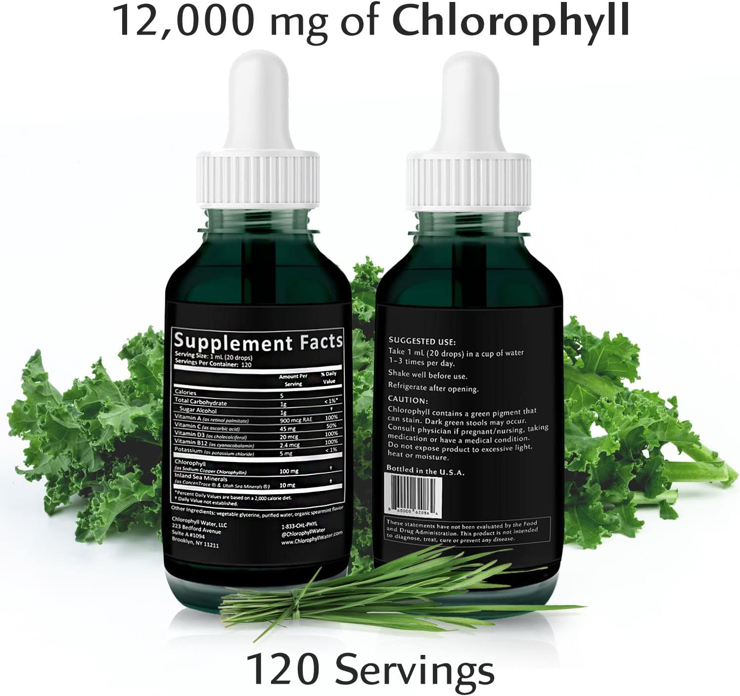 Chlorophyll Water Drops - Liquid Chlorophyll Drops (12,000mg) for Natural Detox, Immune and Energy Support with Antioxidants, Electrolytes, Potassium, Sea Trace Minerals & Vitamins A, B12, C & D3