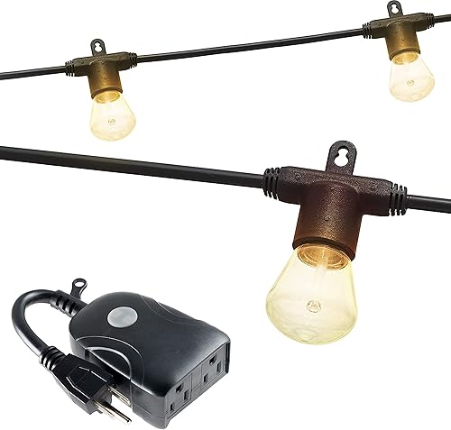 Enbrighten Guirnalda de luces LED bistró, 48 pies, 24 bombillas moldeadas por soplado, polarizadas, interiores y exteriores + enchufe Wi-Fi