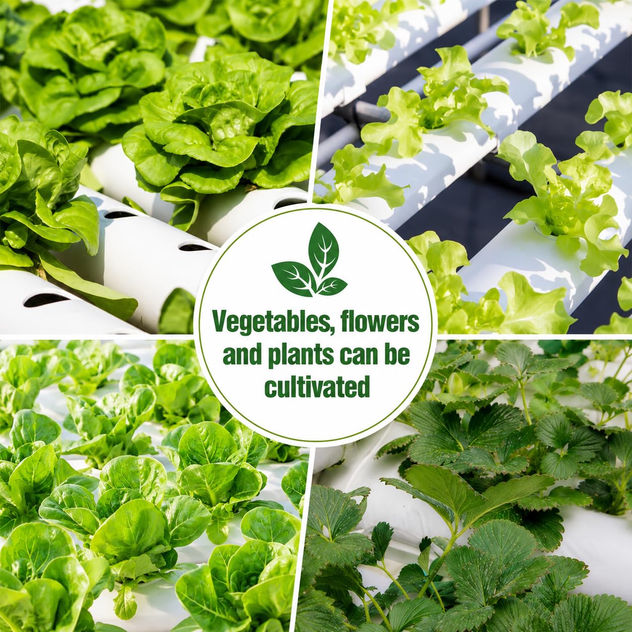 216 Site - Kit de cultivo hidropónico de 4 capas, sistema de cultivo de 24 tubos con bomba de agua para verduras, hierbas y frutas de hoja (4 capas y 20 tubos)