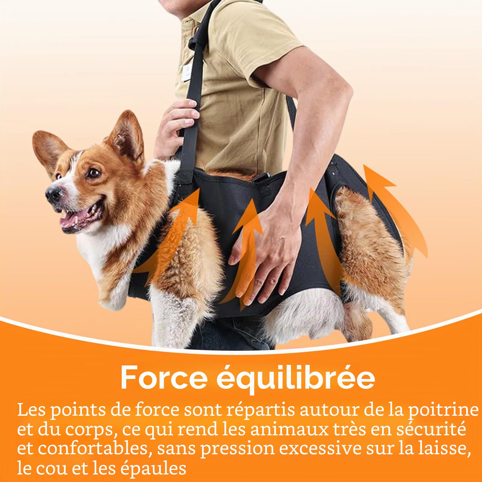 YOUNGSAY Harnais de Levage pour Chien, Harnais Grand Chien Handicapé, Réglable Harnais de Soutien pour Chiens, pour Chiens Handicapés, Aveugles, Blessés ou Âgés (Noir, L)