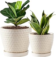Swkien Reactive Glaze Ceramic Plant Pots Set of 2 (6.5+5.5in) with Drainage Hole, Saucer & Mesh Pad - Indoor White Planters