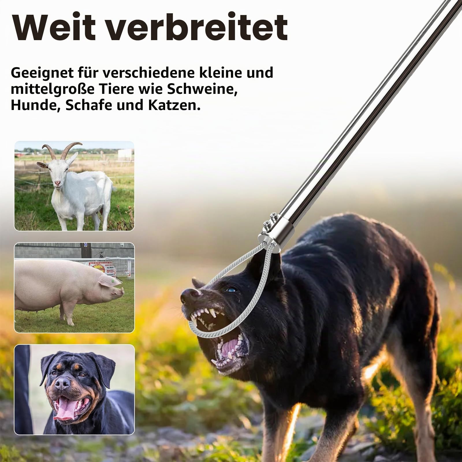 155 cm großer Hundefänger, tragbar, Schweinefänger, Tierkontrolle, Werkzeug, Edelstahl, Schweinehalter, Fangstange für Hunde, Nutztiere, Bauernhofgeräte