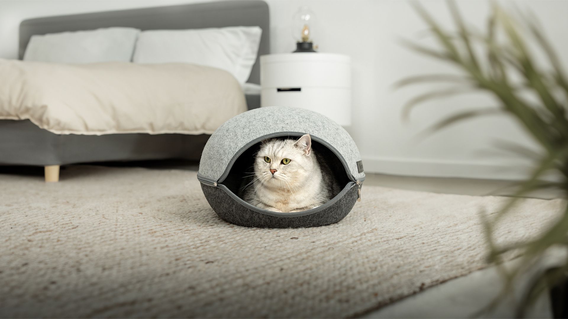 PETCUTE Lit Pour Chat,Lavable Niche Pour Chat Avec Fond Antidérapant,Chaud Niche Chat Panier Pour Chat,Confortable Coussin Chien Convient Aux Chats,Chiens,Coussin Doux Pour Chat Ou Petit Chien