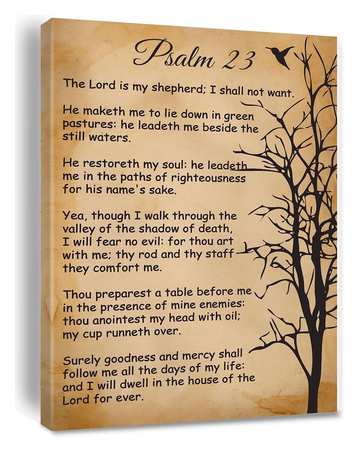 RNUMLIGH Inspirational Psalm 23 Wall-Art, Canvas Print Scripture Decor, The Lord is My Shepherd for Home, Church, Nursery - Christian Housewarming Gift(Unframed,12x18inch(30x45cm))