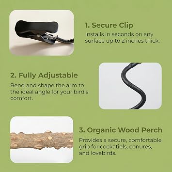 Bird Perch Stand with Clip, Adjustable Clip-On & Portable Parrot Stand, Natural Wood Bird Perch Training Stand for Cockatiels, Conures, Lovebirds and Medium & Small Parrots