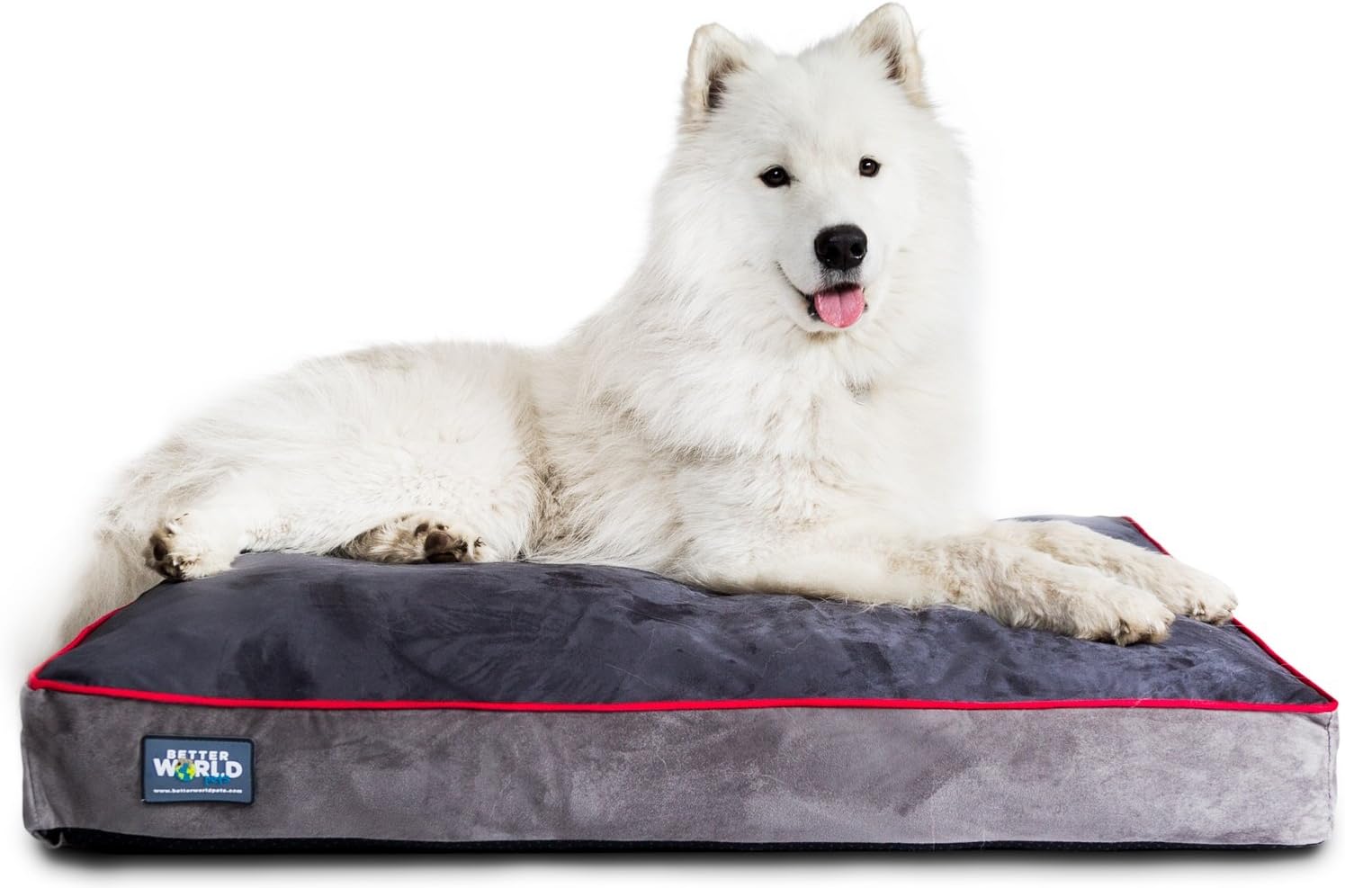 5-inch Thick Orthopedic Dog Bed | Pure Premium Shredded Memory Foam Ideal for Aging Dogs | Waterproof Removable Washable Cover