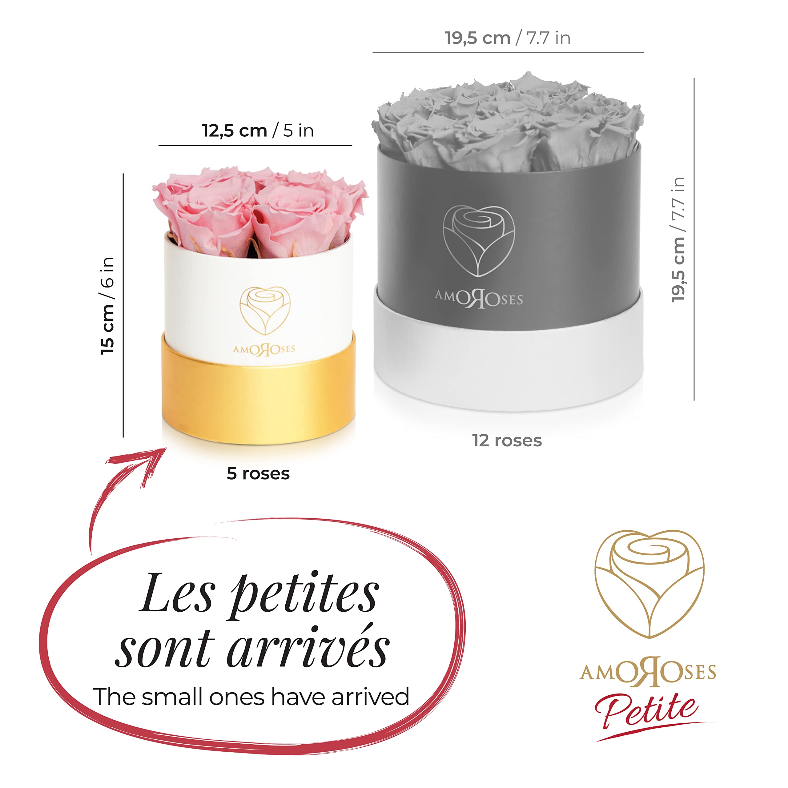 Amoroses Petite - Boîte Cadeau 5 Roses Éternelles Stabilisées - Elégant Bouquet de Fleurs Véritables | Fête des Mères (Petite Boîte Blanche avec Roses Roses)