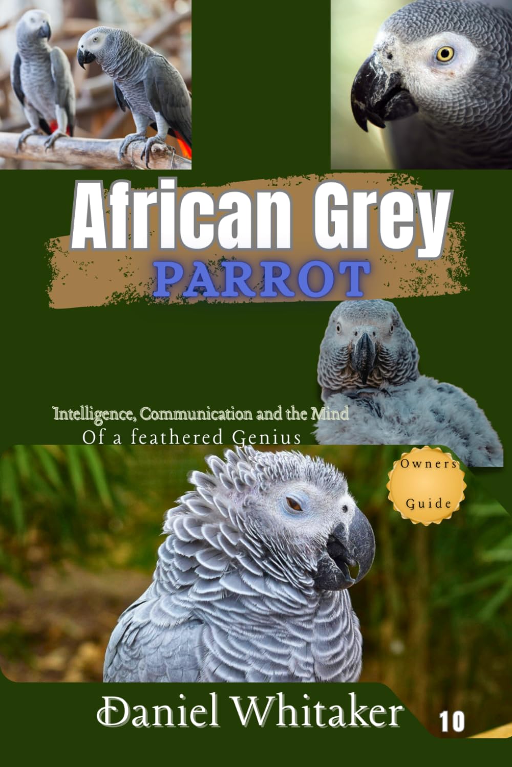 African Grey parrot: intelligence, communication and the mind of a feathered Genius