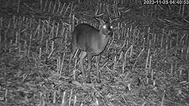 Review Image by TJG TJG