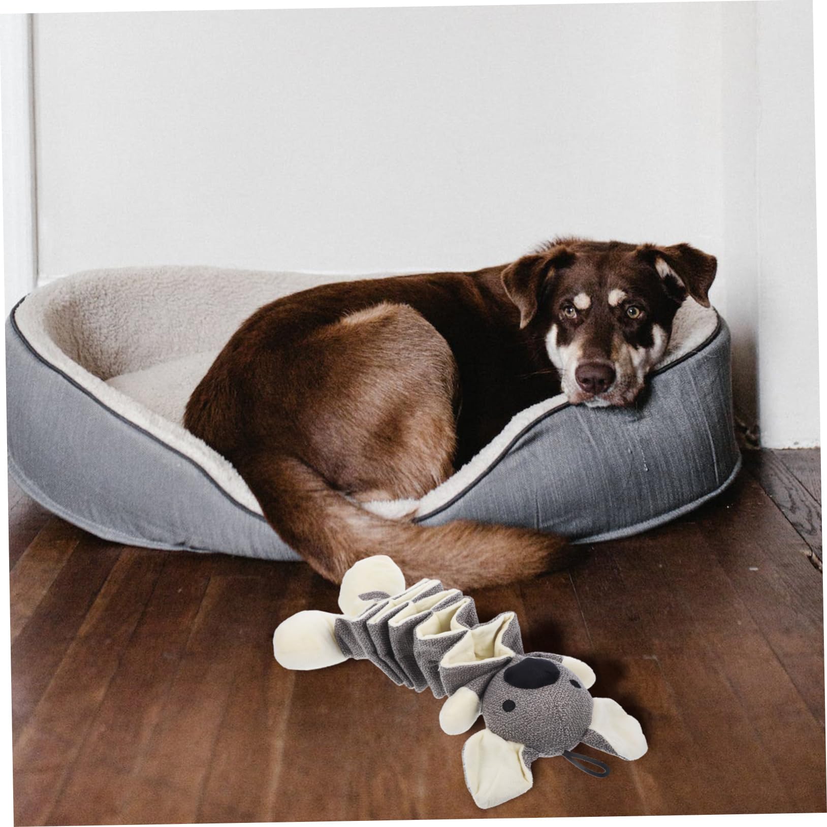Beavorty 2pezzi Squeaky Per Plush Resistente Masticare Interattivo Per Per La Noia e Comportamenti Distruttivi