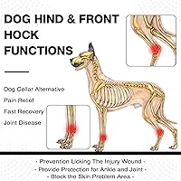 Vista 3 de ROZKITCH Protector de patas de perro para articulación trasera de corvejón o rodilla de pierna delantera, 1 par de mangas de compresión de piernas