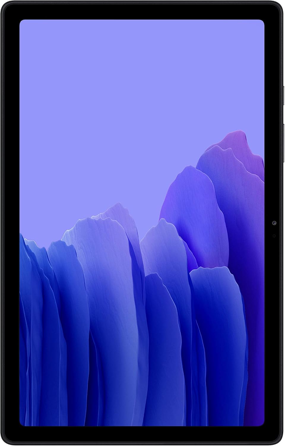 Galaxy Tab A7 10.4 Wi-Fi 64GB Gray (SM-T500NZAEXAR)