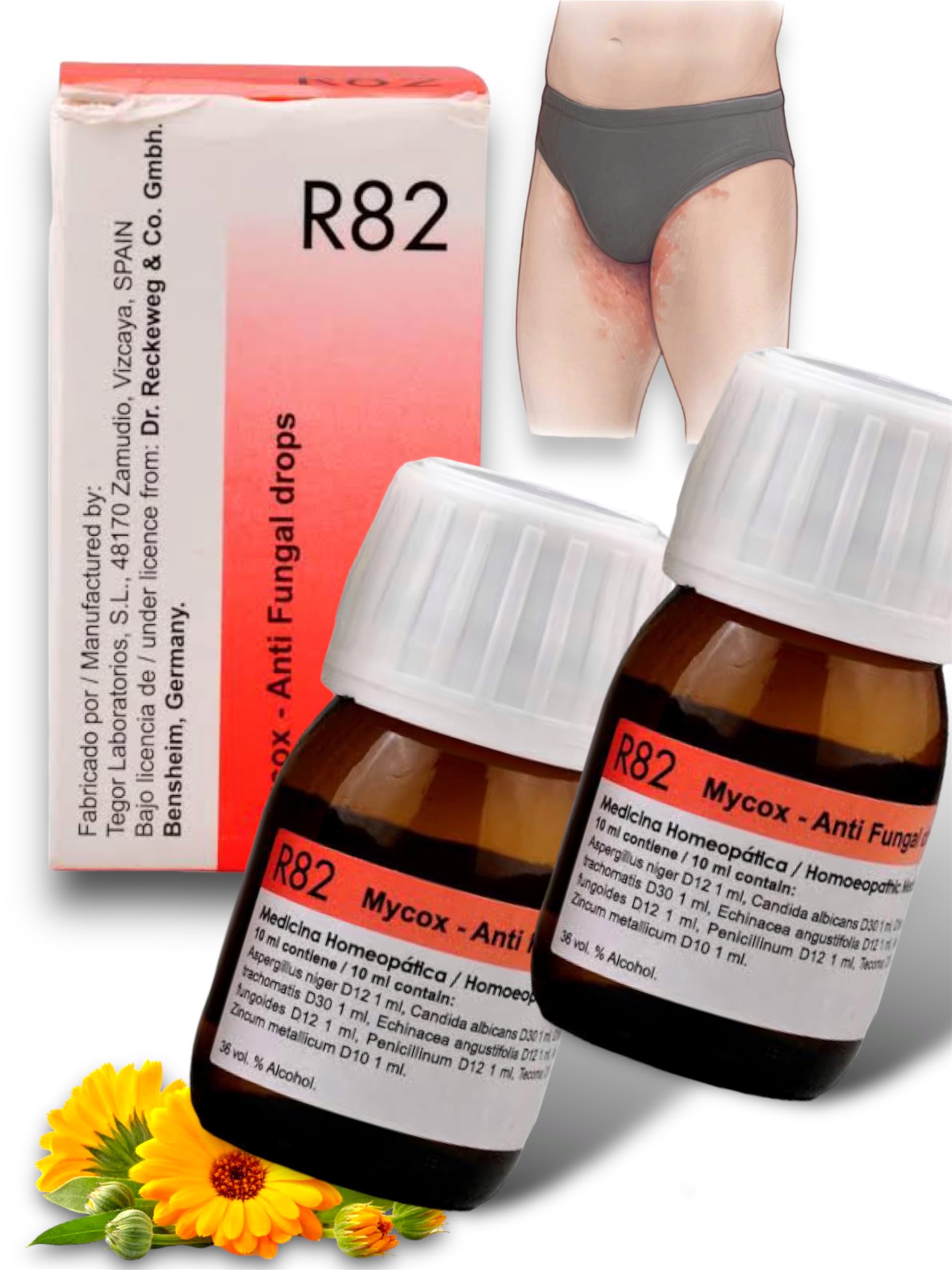See full amazon price history chart for alc-10 Dr Reckeweg R82 Antifungal Drops Homeopathic - 30ml X 2 Bottles | 2 MONTHS Pack RELIEF alc-10 Dr Reckeweg R82 Antifungal Drops Homeopathic - 30ml X 2 Bottles | 2 MONTHS Pack RELIEF (B0CSWF3CCX) Amazon Price History, Amazon Price Tracker