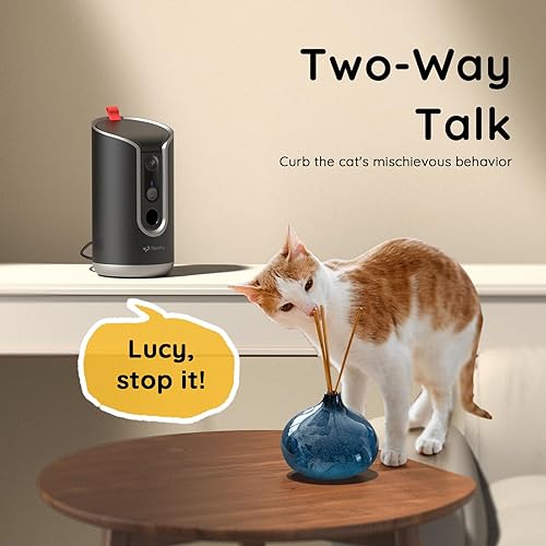 2K Pet Camera Treat Dispenser — bottom and base construction detail