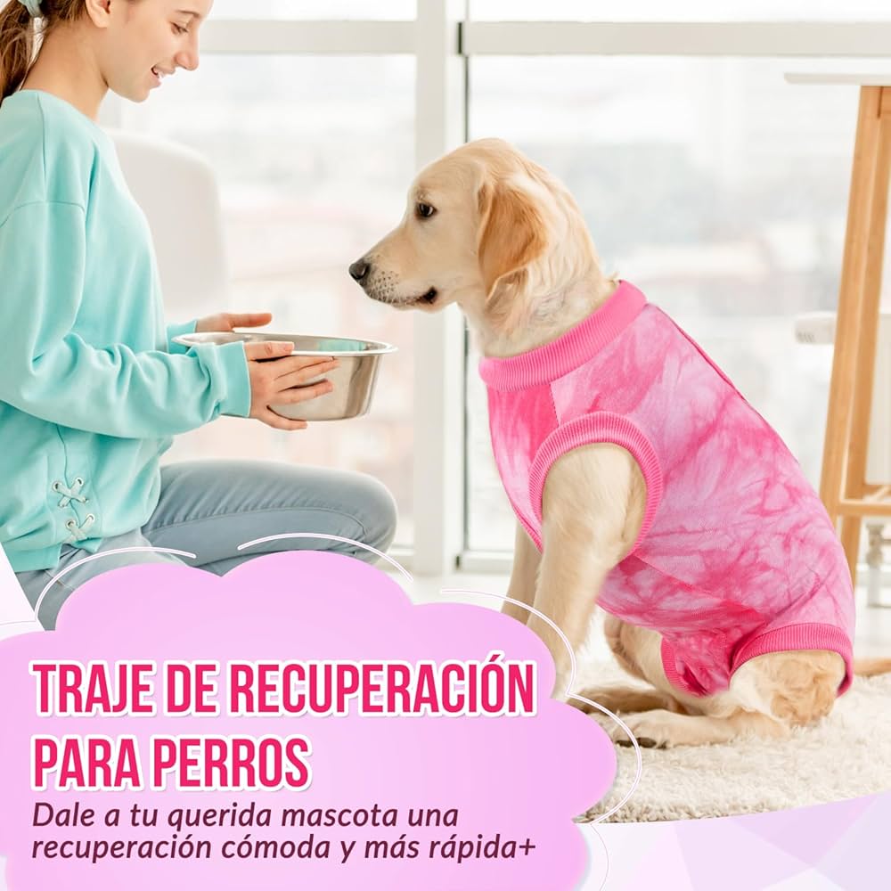 Collar Isabelino Para Perro SlowTon Traje De Recuperación De