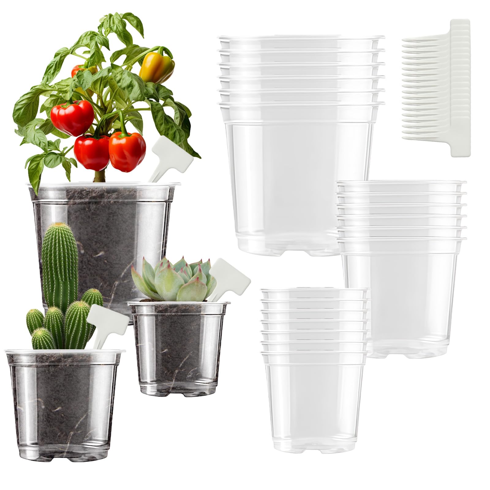ANBET 36 Stück Plastic AnzuchttöPfe mit Mehrere Ablauflöchern, 9CM/10.5CM/12.5CM Orchideentopf Transparent, Pflanztopf Durchsichtig mit 36 Pflanzenetikett für Saatgut, Sukkulenten Drinnen und DraußEn