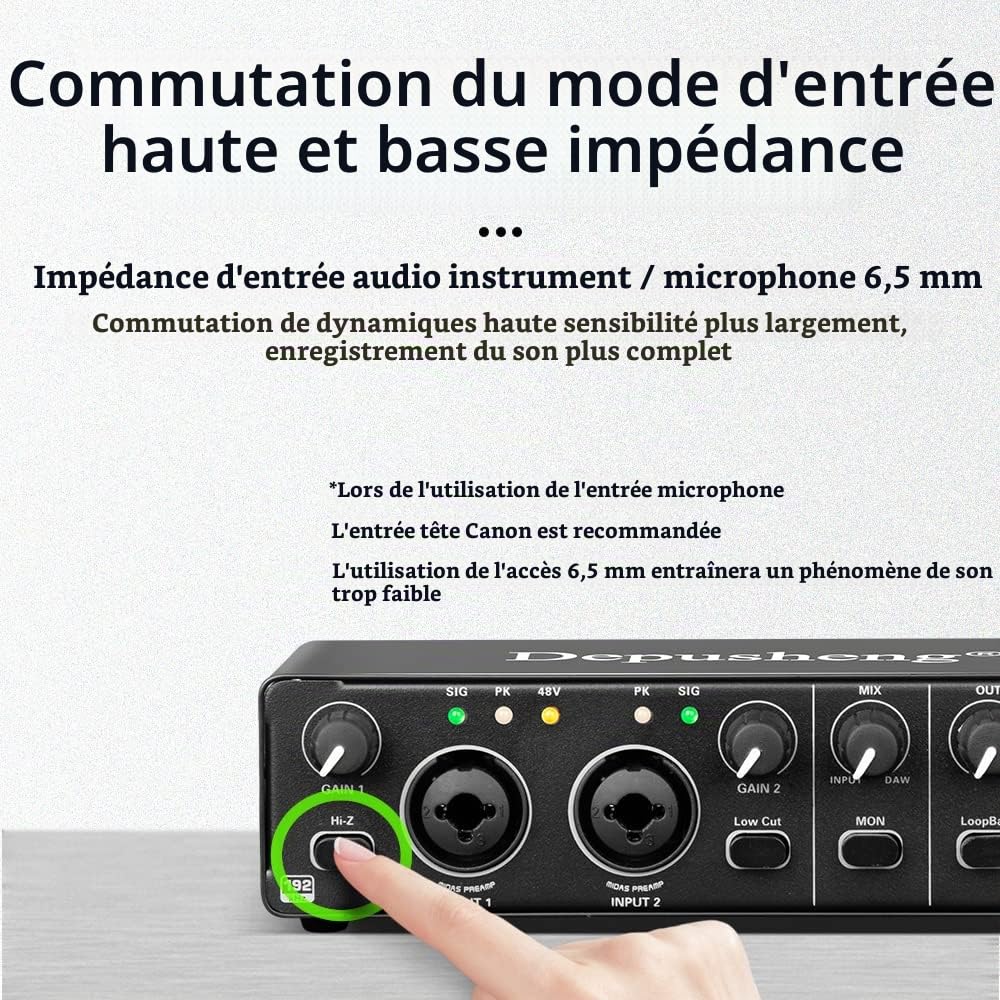Depusheng RX2 USB interface audio ordinateur enregistrement carte son mélangeur audio, interface audio pour home studio, peut connecter un microphone à condensateur 48V, enregistrement de guitare