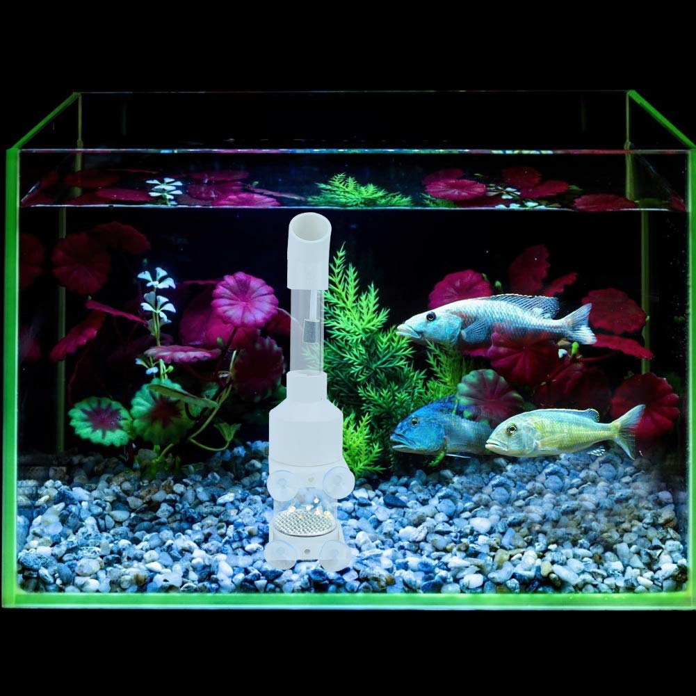 Incubateur de poissons AQ50025 à flux continu pour sauver les œufs de cichlidés