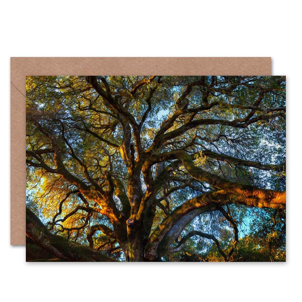Wee Blue Coo BIRTHDAY PAINTING OLD TREE BRANCHES ART GREETINGS GREETING CARD GIFT