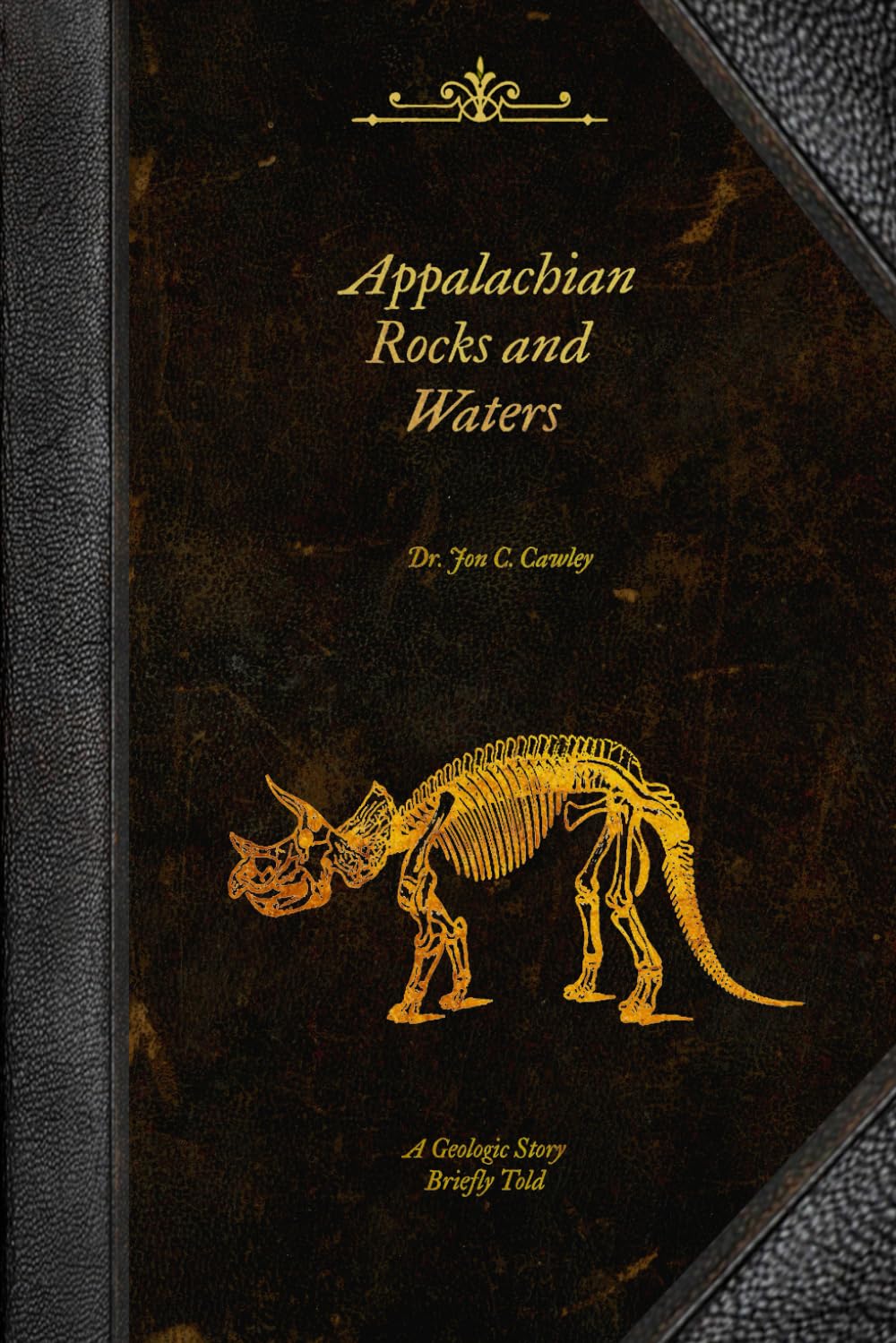 Appalachian Rocks and Waters: A Geologic Story Briefly Told      Paperback – June 16, 2024