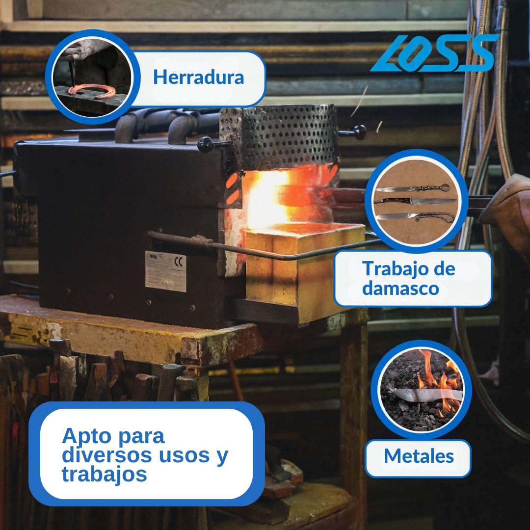 Forja Profesional de Gas Propano con 2 Quemadores y Kit de Herramientas | Kit Forja: Yunque 10 kg, Pinza Pico Plano, Martillo 1 kg, Abrazadera de Banco, Guantes de Trabajo