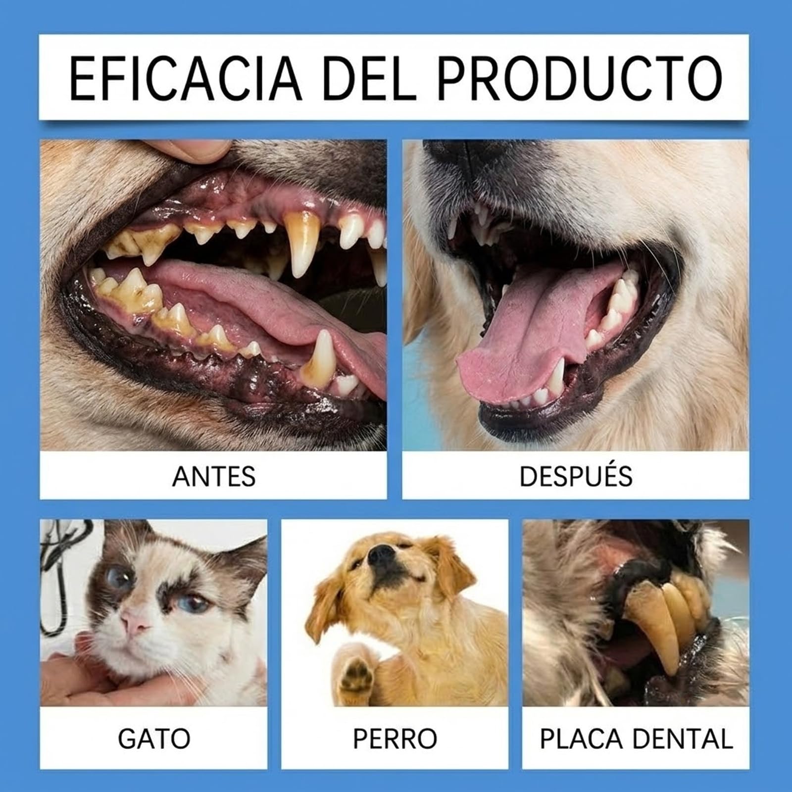 Genérico Balyxe Dental Perros Liquido, Balyxe Pet Dental Perros (para Perro,3 Unidad) | Fácil de Usar y Bebible, Elimina El Mal Aliento Ayuda a Mejorar la Ligiene Bucal y la Salud de las Encías en Perros y Gatos