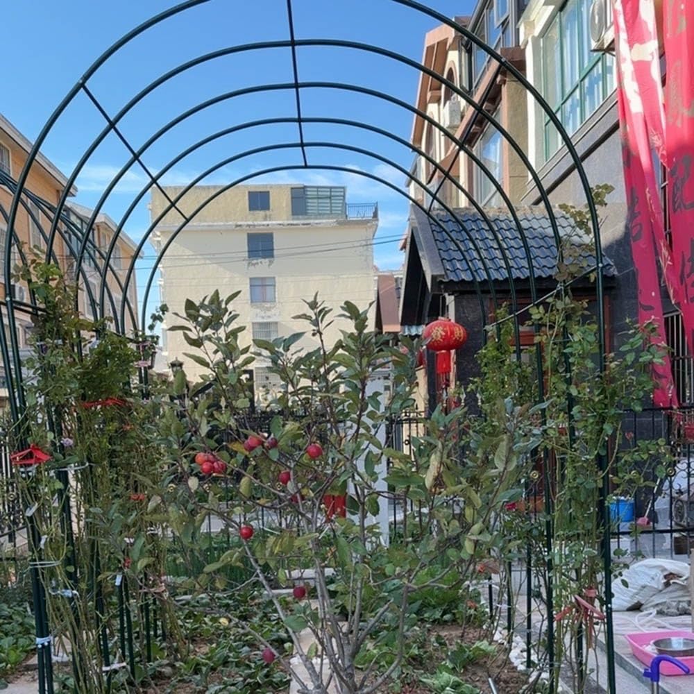 Schwarzer Metall-Gartenbogen für Kletterpflanzen – 0,8 x 2,0 m Stahlrahmenständer für Rosen, Jasmin, Passionsreben – langlebige Dekoration für den Außenbereich
