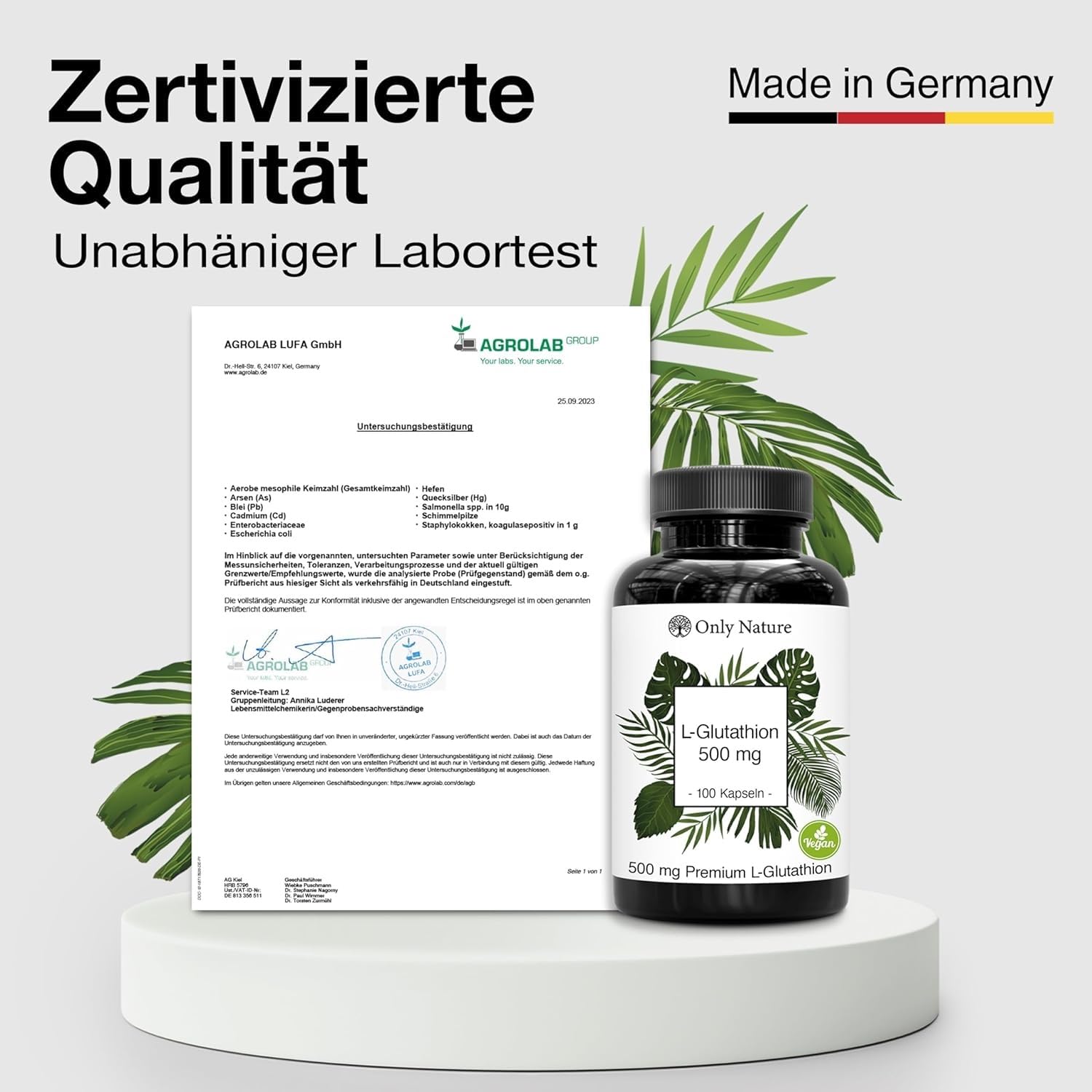 L Glutathione Highly Dosed 500 mg - 100 Capsules - Made in Germany &  Laboratory Tested - Immune System & Detoxification - Reduced L-Glutathione 