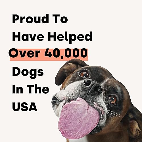 Miniatura 9 de Kayode Daily Multi - Multivitamínico y superalimento masticable para perros. Llena los huecos de nutrientes. Ayuda a las articulaciones, la