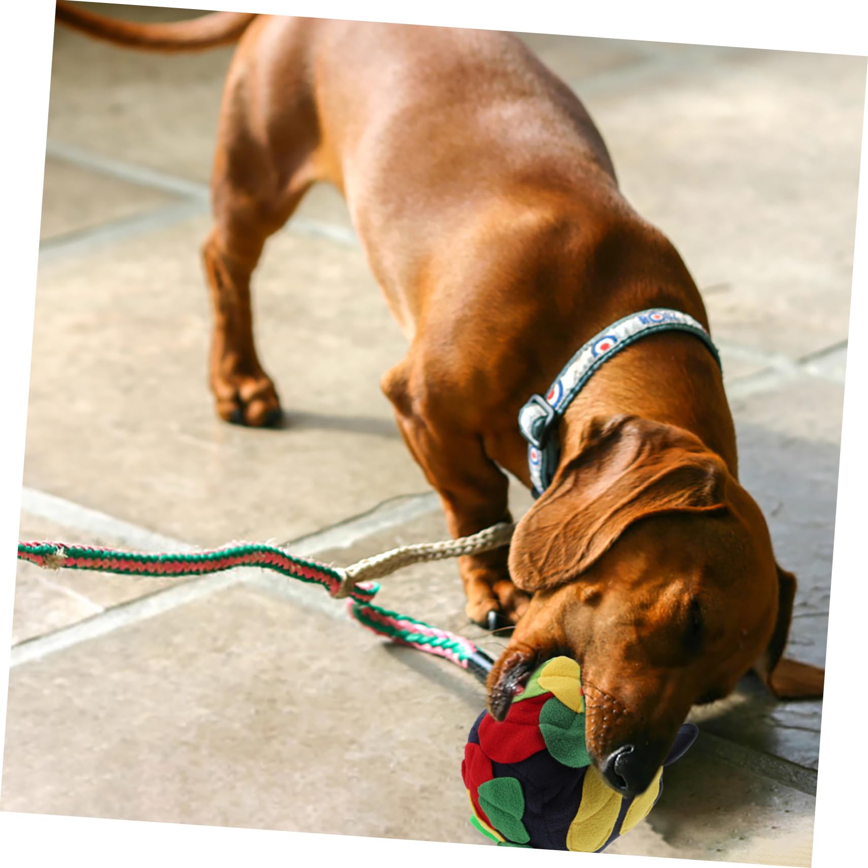 Didiseaon 2pezzi Palla Interattiva Per Cani Gioco Di Foraggiamento Con Tappetino Olfattivo Stimola Attività Mentale e Rallenta Ritmo Di Nutrizione Vintage