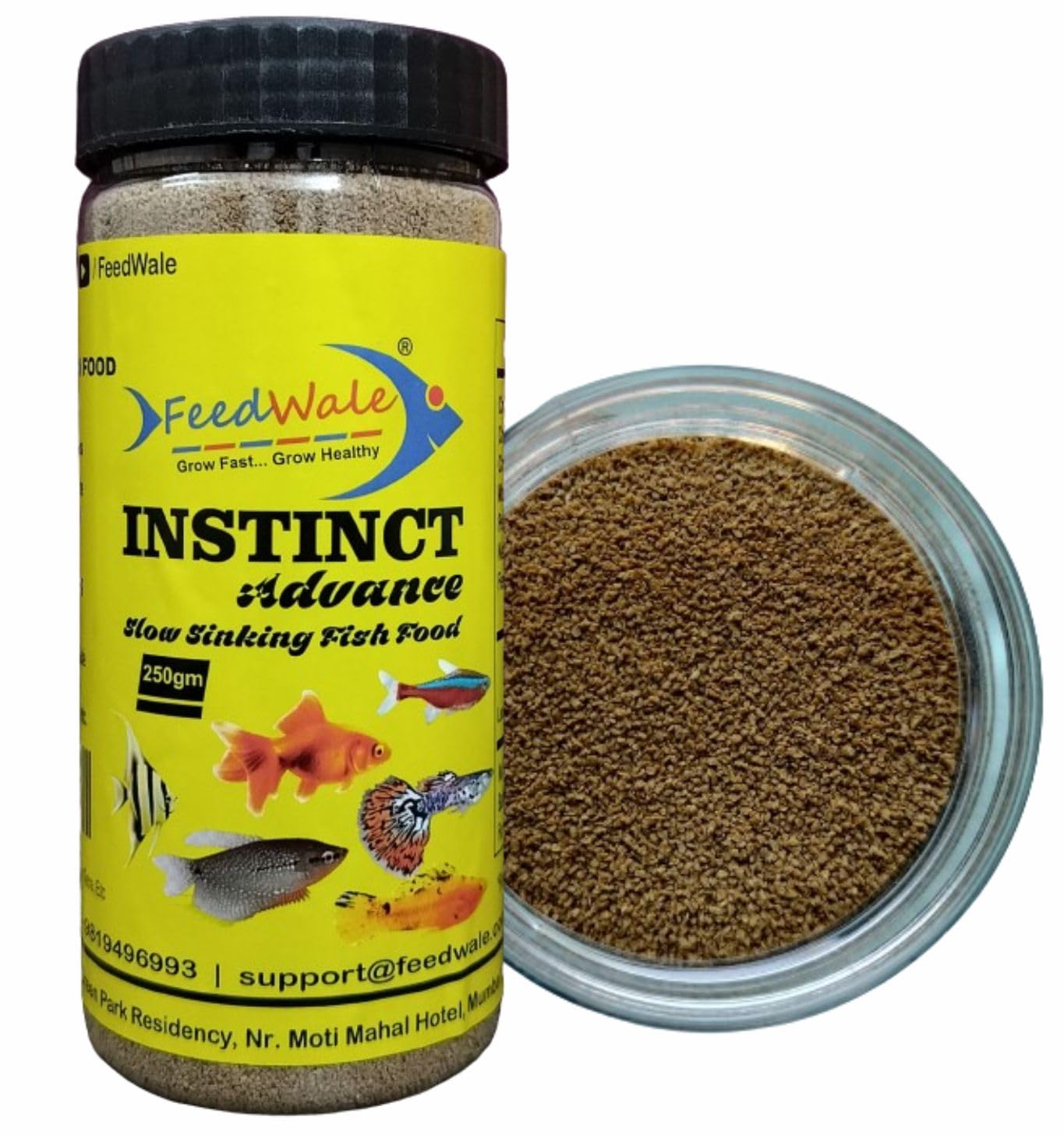 FeedWale Instinct Advance 250gm Slow Sinking Fish Food for Small Aquarium Fish Like Tetra, Angel, Molly, Guppy, Gourami, Platy, Color Tetra, Etc