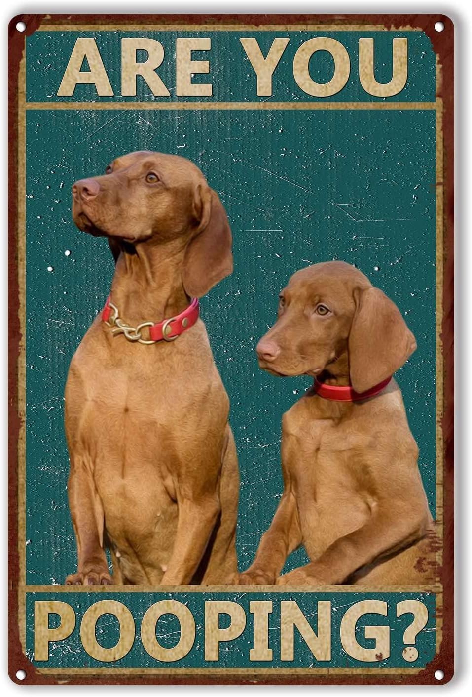 Anceky Funny Tin Signs Dog are You Pooping Restroom Bathroom Wall Decor Dog Lovers Bar Signs 8x12 Inch
