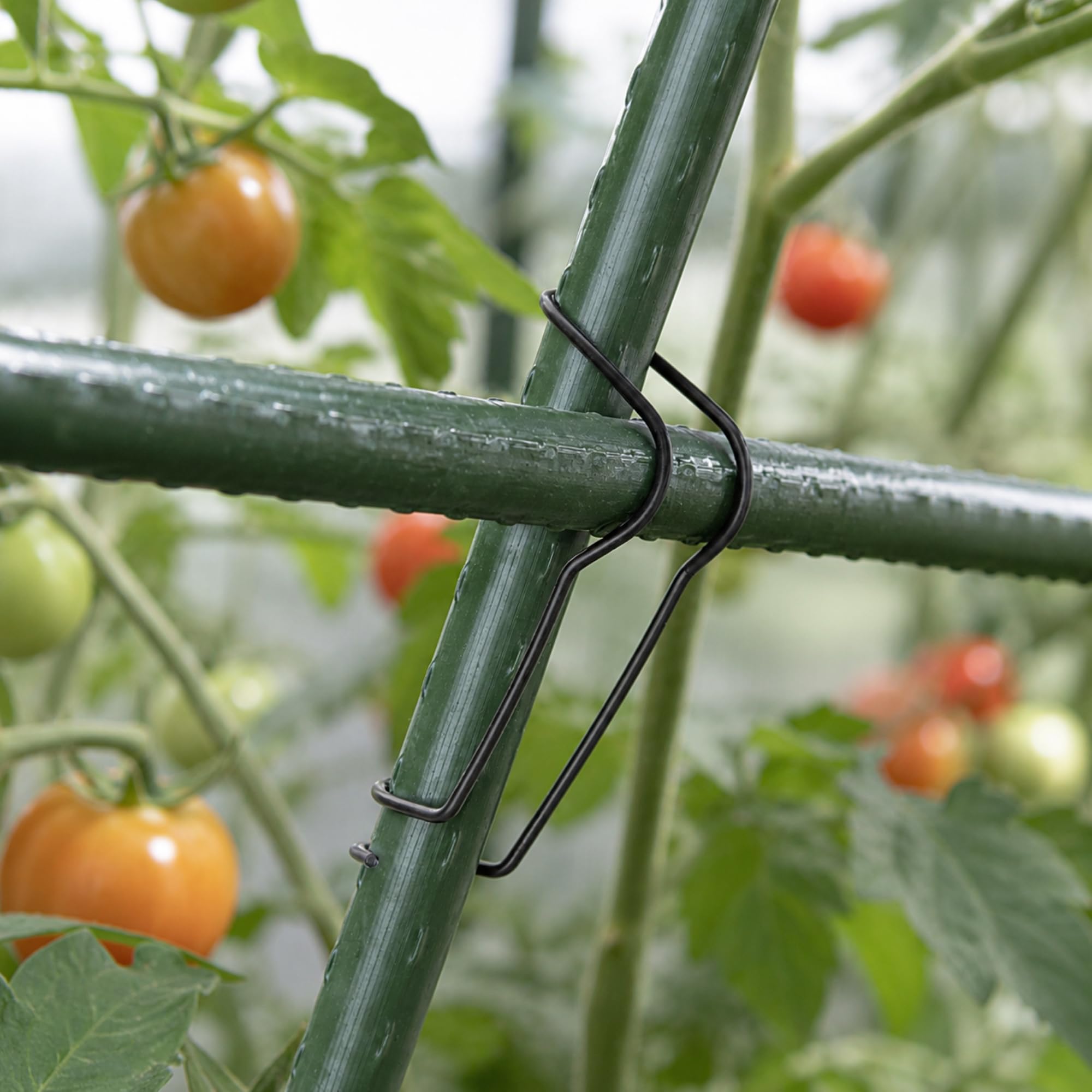 KADAX 100er Set Pflanzstab Verbinder Ø 11 mm, Verbindungsschnallen aus Stahl für Bambusstäbe, Tonkinklammern zur stabilen Fixierung von Rankhilfen im Garten