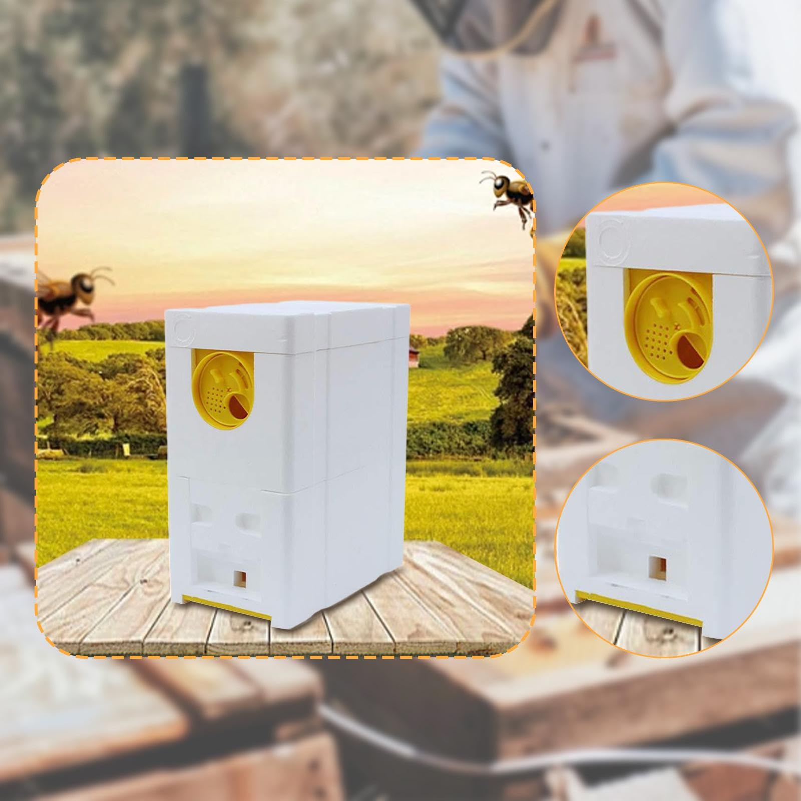 Boîte à Reines, Matériel Apicole Portable, Mini de Fécondation pour Balcon et Jardin, Jaune