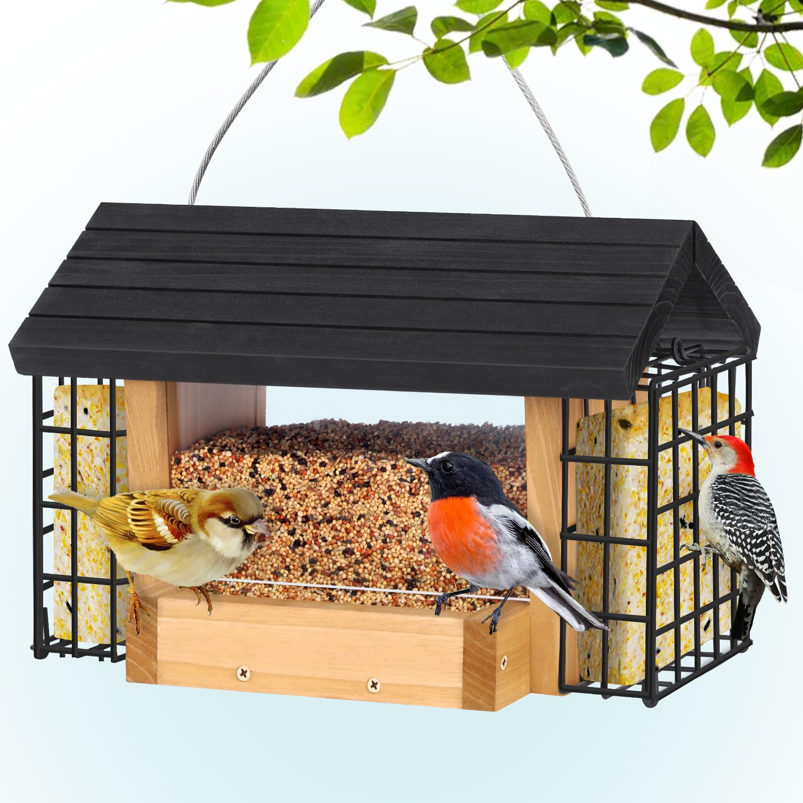 Amazon.com : Gbekery Hopper Bird Feeder for Outdoors Hanging