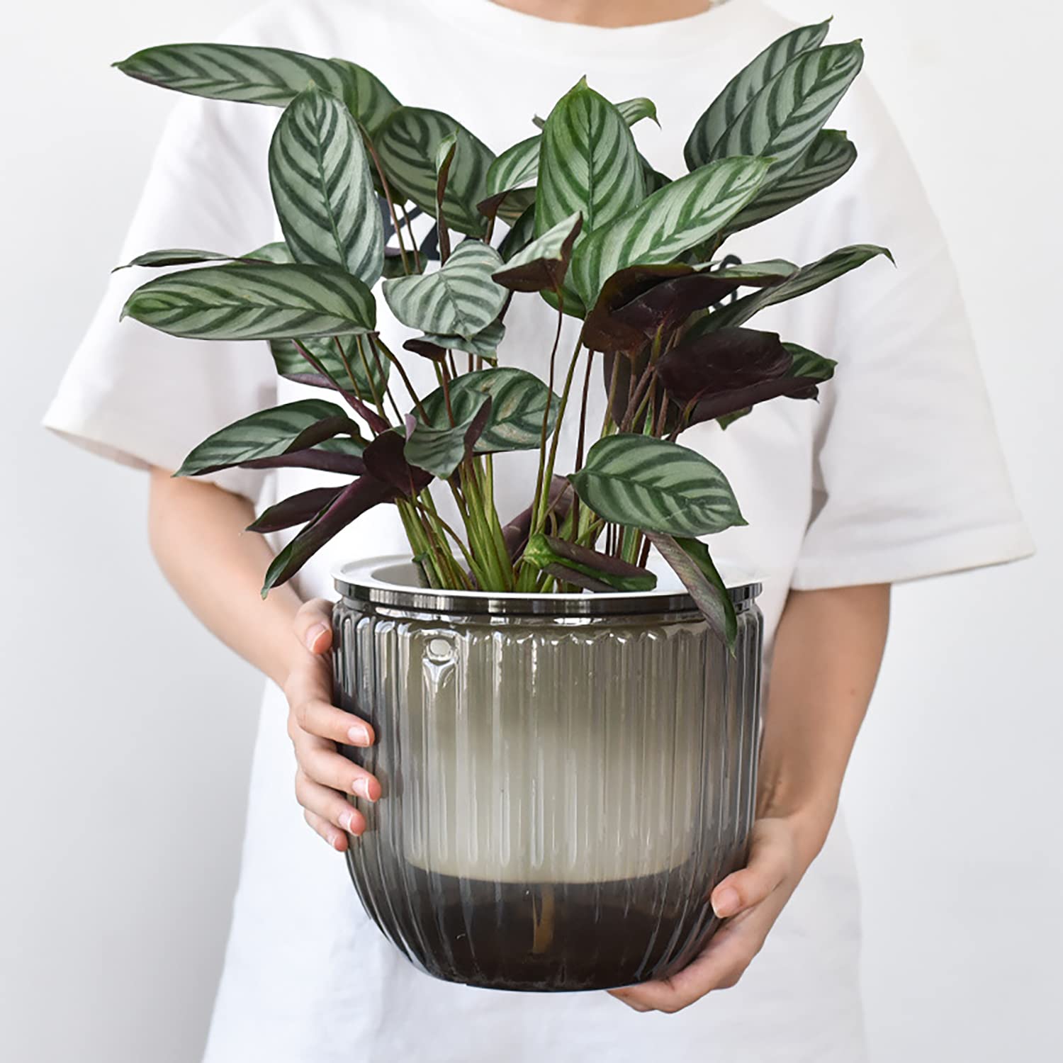 iDattel 2er Set Selbstbewässernd Blumenampeln Hängeampel Blumentopf Pflanzen, 16,5 cm do wewnątrz hängende Topf mit 3 Hooks Entwässerungslöchern für Innen und Außendeckoration (szary)