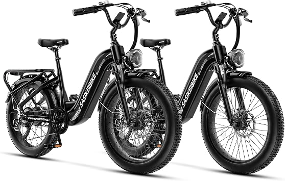 1500W Motor Electric Bike for Adults & Teenager, 48V 20AH Removable Battery Ebike, 24inch Fat Tire Electric Bicycle, Step-Thru E Bike for Commuting & Mountain, Front Suspension