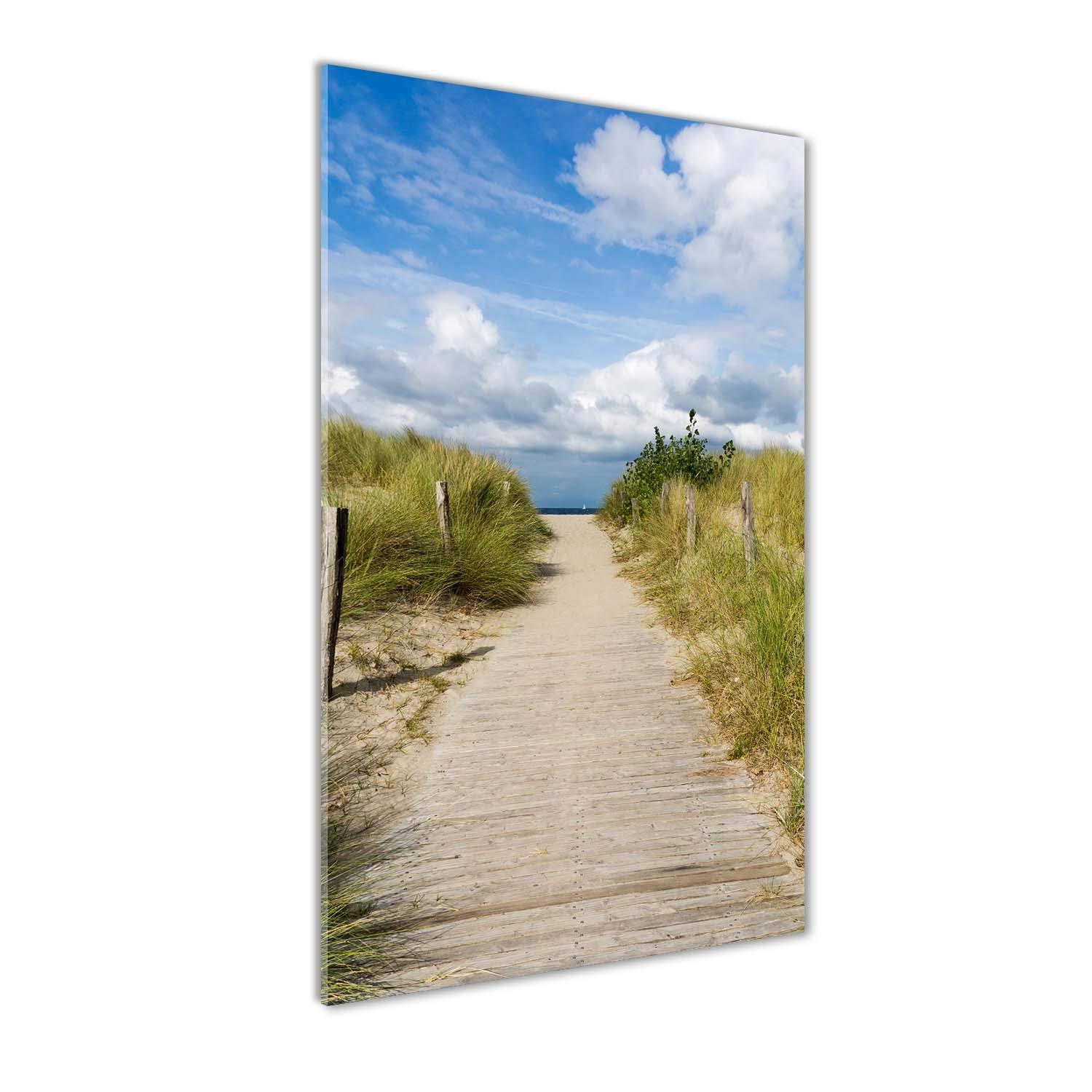 Impression sur verre 60x120 cm Tulup tableau haut de gamme paysage chemin de la plage vert