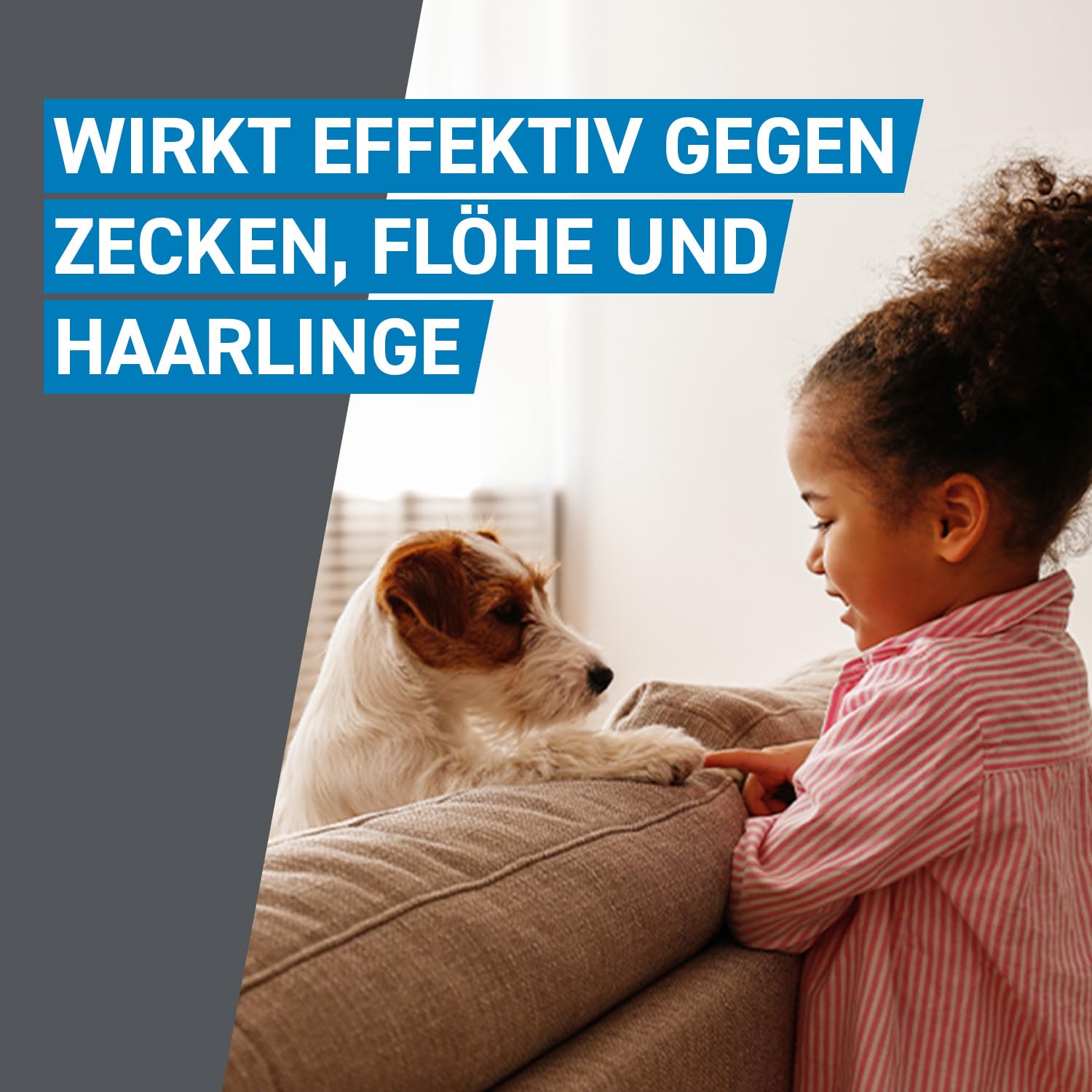 FRONTLINE Spot ON Hund L gegen Zecken, Flöhe & Haarlinge (20 bis 40 kg) | 6+3 Pipetten (2er Pack) für bis zu 9 Monate Schutz - einfache Anwendung, gute Verträglichkeit - wasserfest - für große Hunde