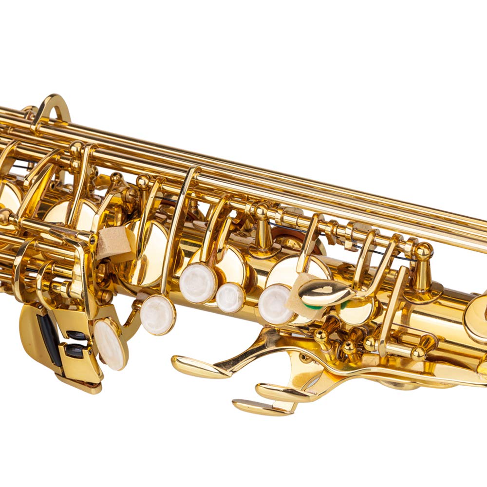 Amazon.com: Stylish Mid-range Alto Drop E Lacquered Golden