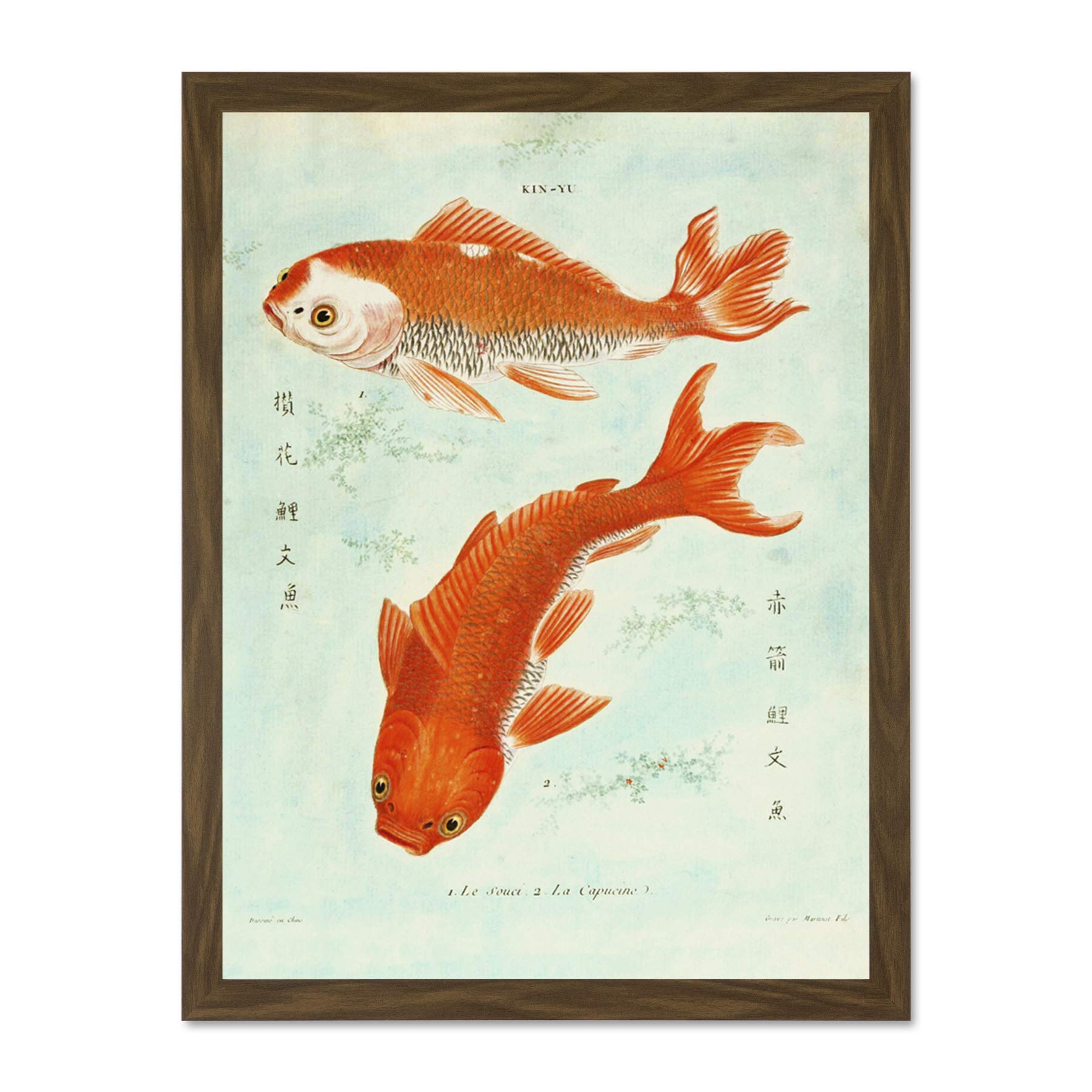 Wee Blue Coo Fish Japanese Koi Large Framed Art Print Wall Poster 18x24 inch