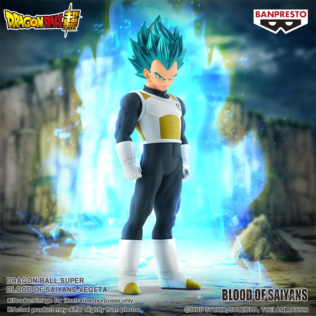 Banpresto - Dragon Ball Super - Vegeta Blood of Saiyans Figure