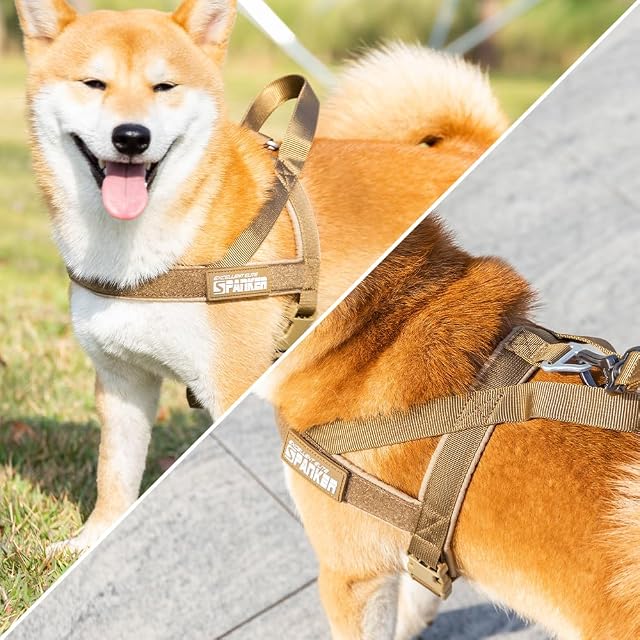 Foto 6 de 6 de EXCELLENT ELITE SPANKER No Pull Dog Harness Arnés Acolchado Ajustable de Nylon arnés para Perros pequeños…
