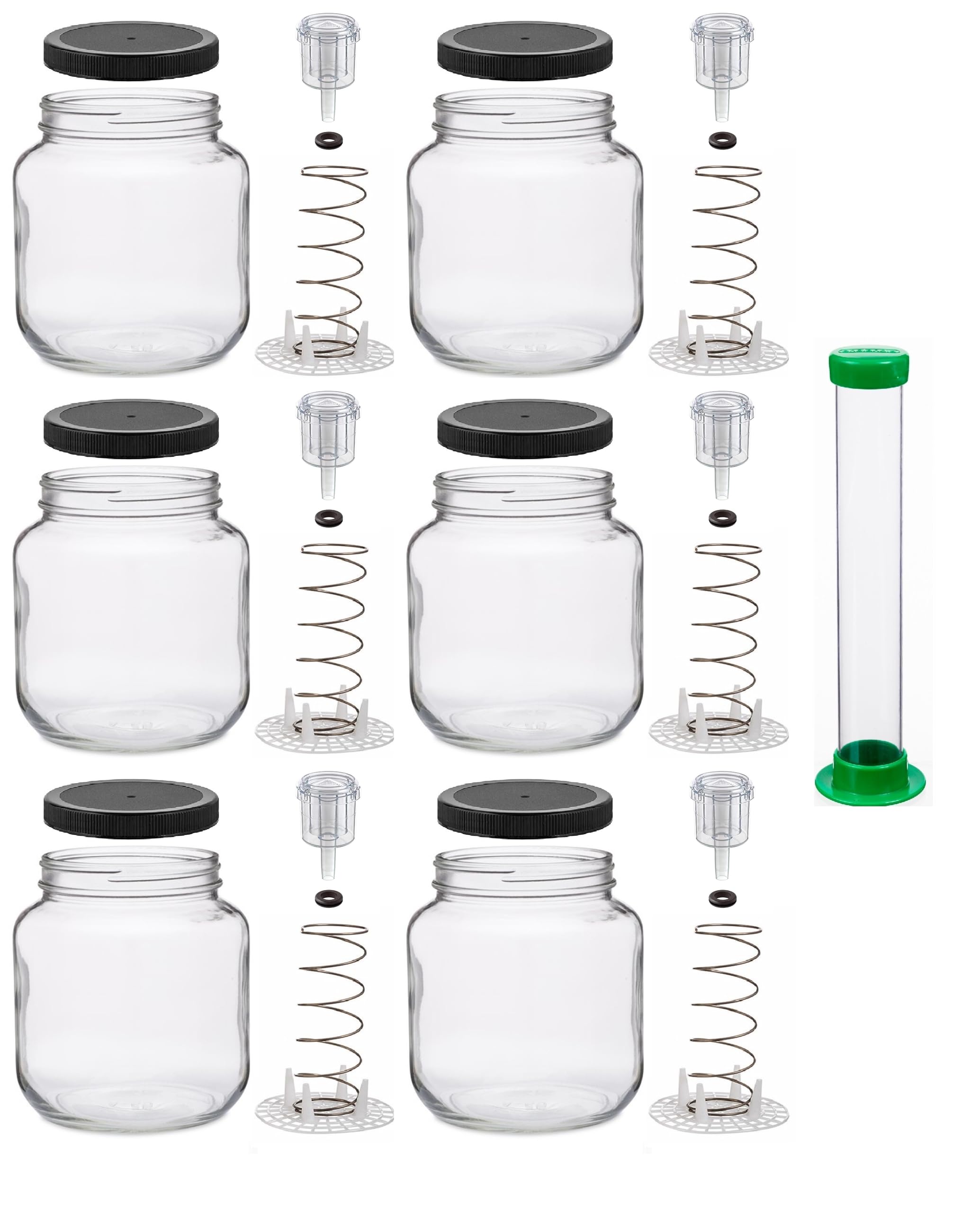 North Mountain Supply Kit di fermentazione vegetale con tappo - Barattolo da mezzo gallone, peso a molla con pressa, 2 pezzi Airlock e coperchio in plastica nera con occhielli - Set di 6