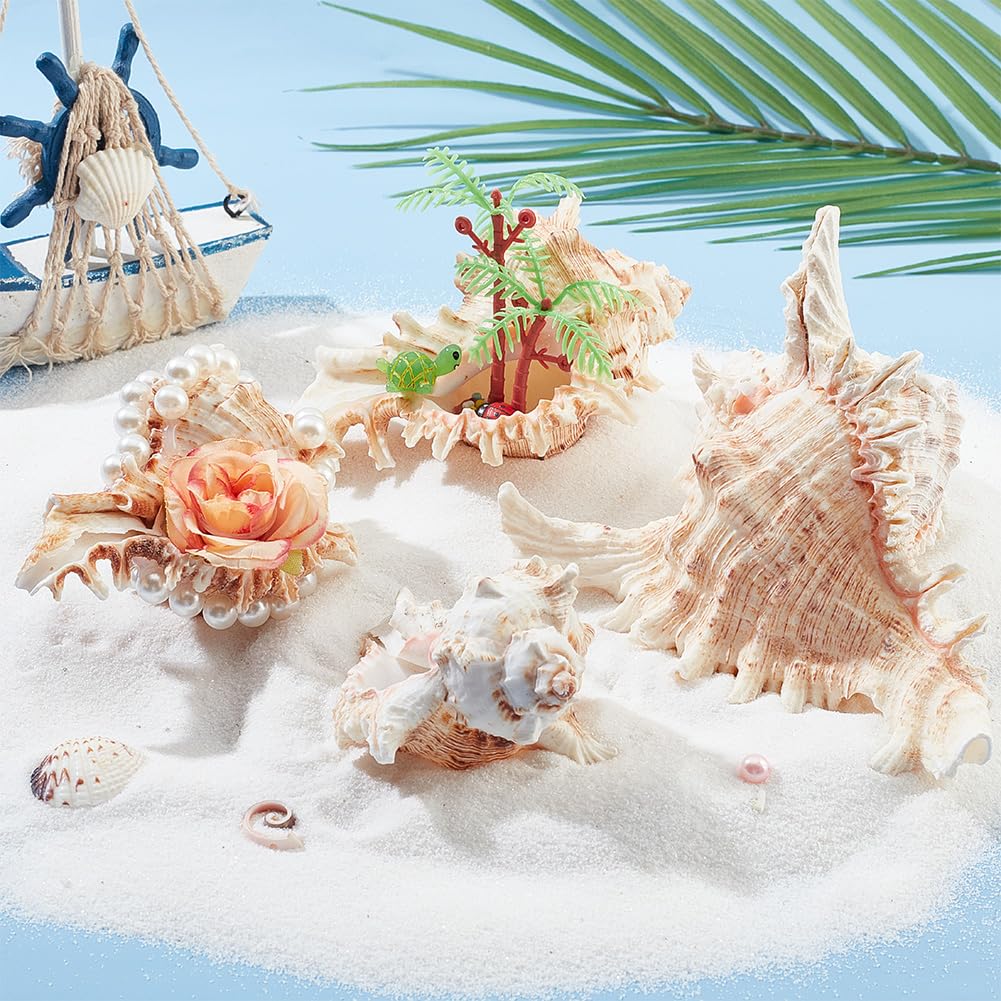 PH PandaHall 4pcs Conch Sea Shells, 2.4-4.7inch Natural Beach Seashells Succulent Planters Decorative Holder for Vase Filler Fish Tank Aquarium Home Garden Table Decor Beach Theme Wedding Party