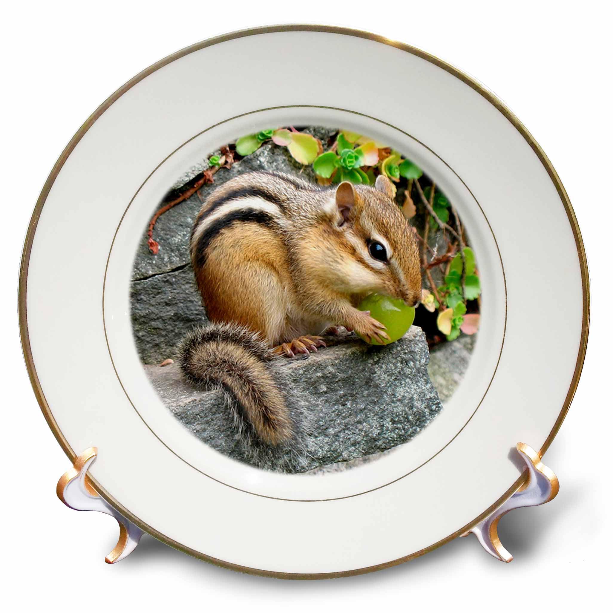 Plato de porcelana blanca de 20 cm para presentación de platos y decoración de mesa