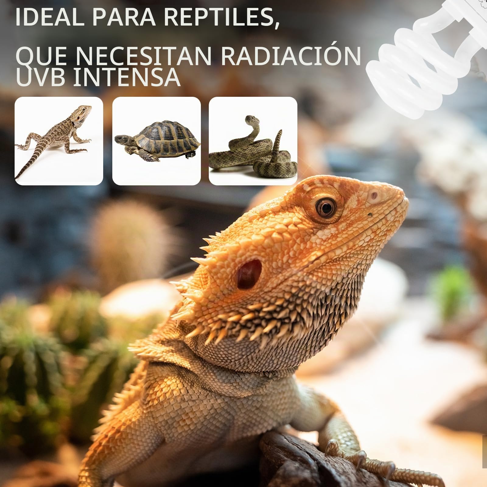 LUCKY HERP lámpara uvb de terrario, reptiles UVA UVB 10.0, E27 compacta para gamones, tortugas, serpientes, lagartos, reptiles y anfibios