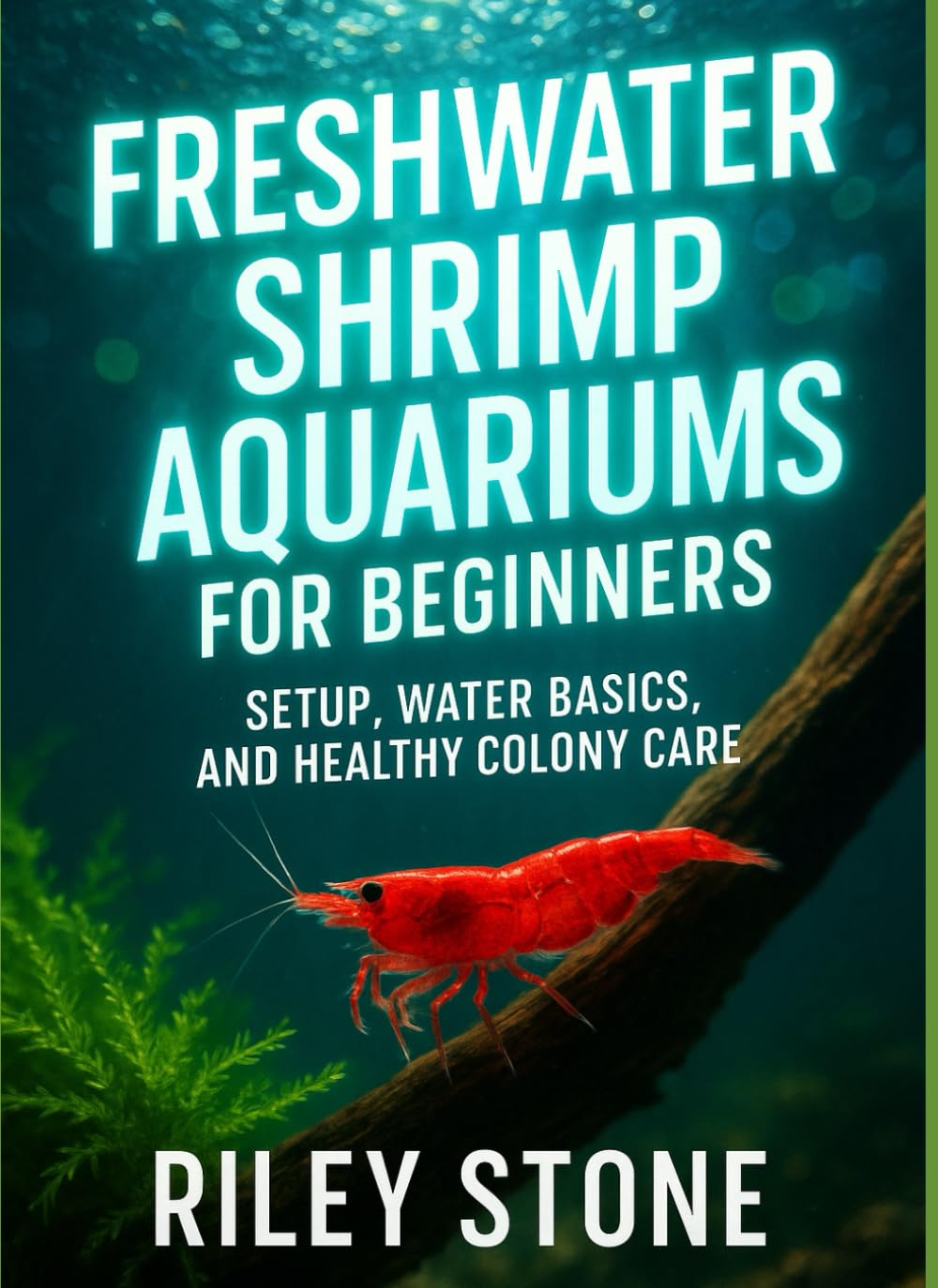 FRESHWATER SHRIMP AQUARIUMS FOR BEGINNERS: SETUP, WATER BASICS, AND HEALTHY COLONY CARE