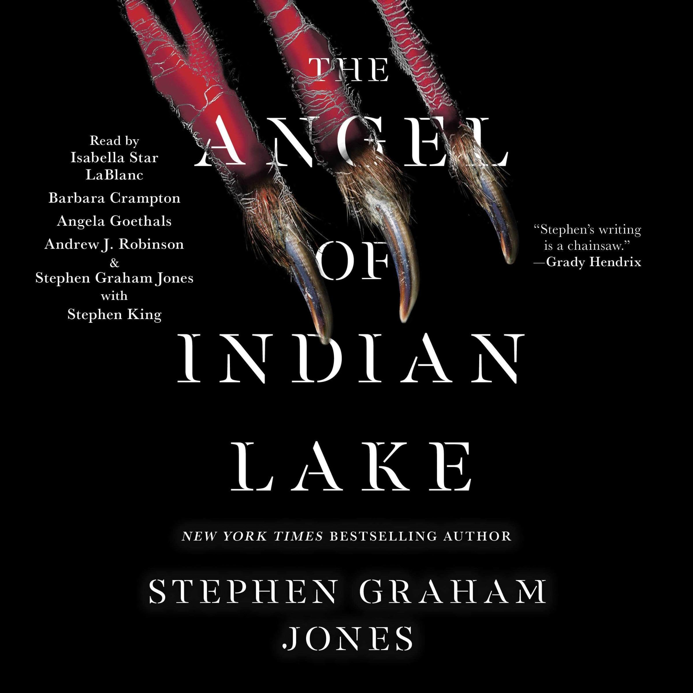 Cover art for The Angel of Indian Lake
